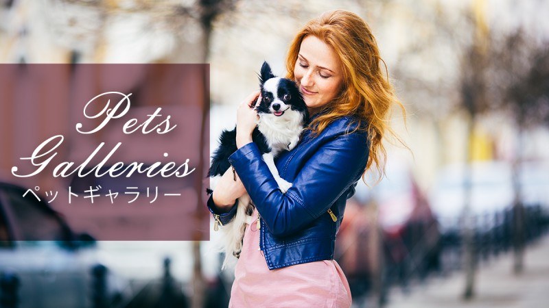 ペットギャラリー